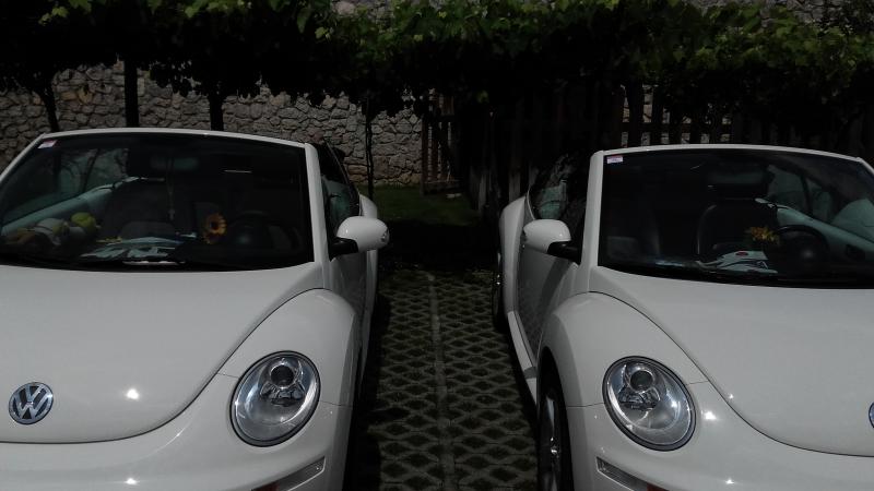 Raduno d' estate 2016 a Rovereto