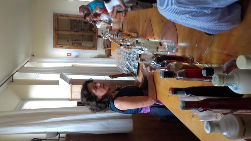 Raduno d' estate 2016 a Rovereto