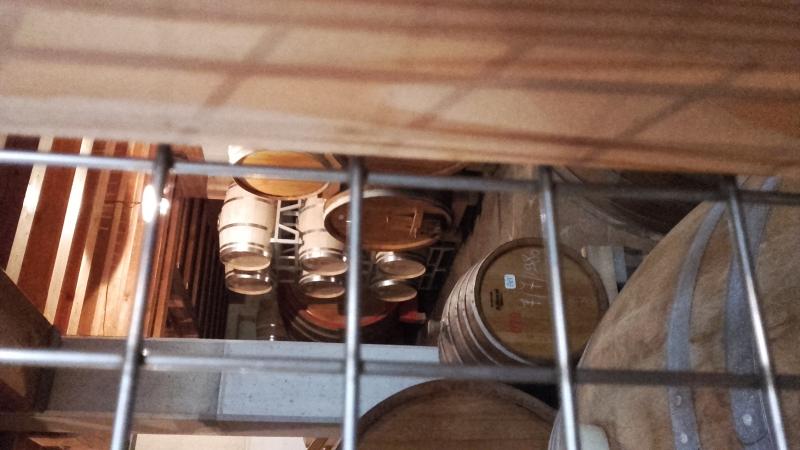 Raduno d' estate 2016 a Rovereto