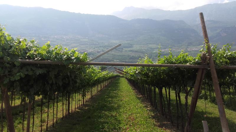 Raduno d' estate 2016 a Rovereto