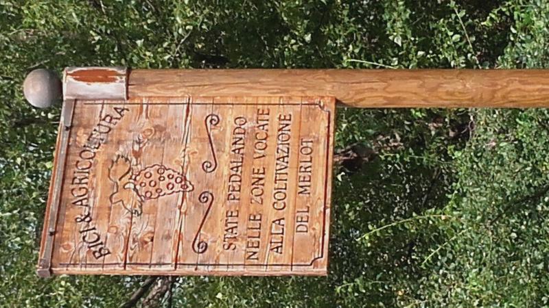 Raduno d' estate 2016 a Rovereto