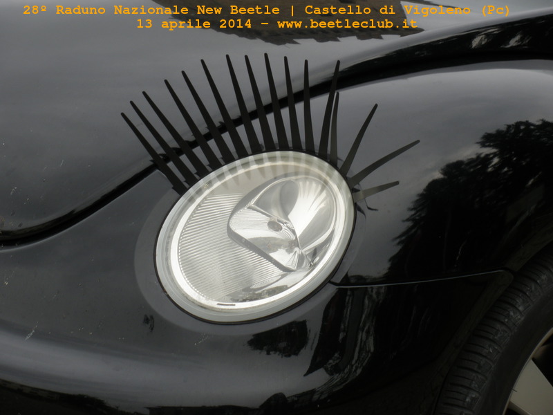 Raduno d'Autunno 2012