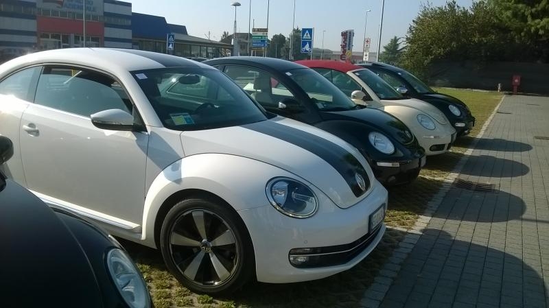 Raduno d'Autunno 2014 a Borghetto (VR)