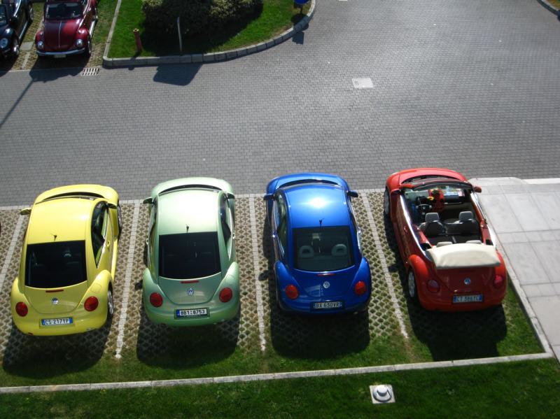 Raduno d'Autunno 2014 a Borghetto (VR)