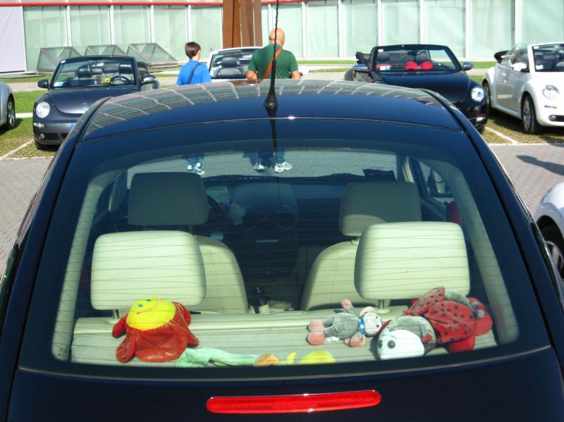 Raduno d'Autunno 2014 a Borghetto (VR)