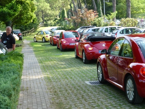 Raduno d'Autunno 2014 - Borghetto (VR)