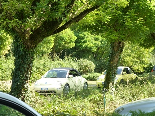 Raduno d'Autunno 2014 - Borghetto (VR)