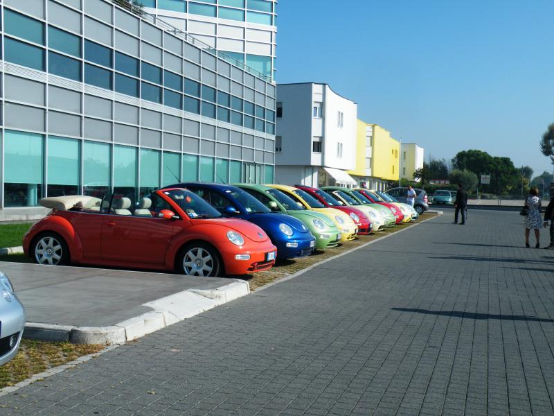 Raduno d'autunno 2014 Borghetto VR