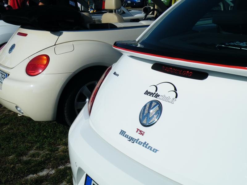 Raduno d'autunno 2014 Borghetto VR