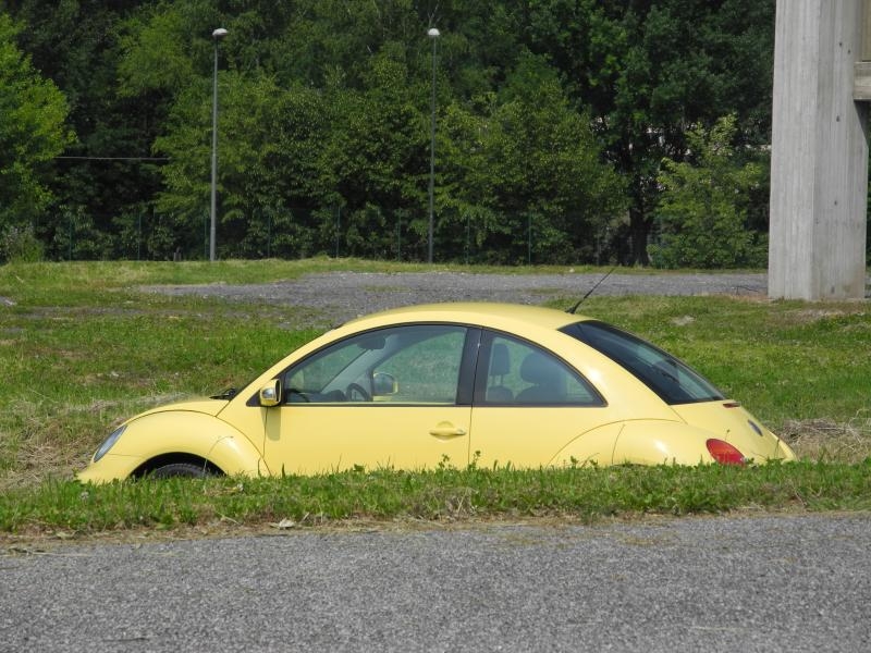 Raduno d'Estate 2013 in Val Seriana
