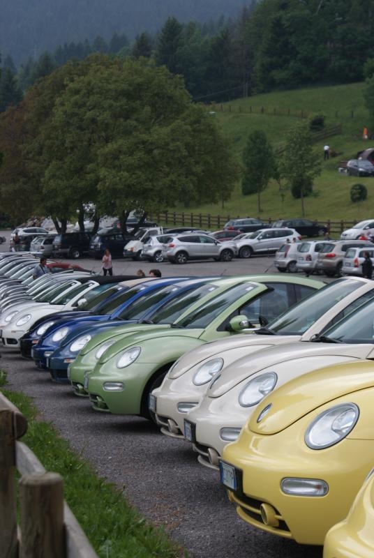 Raduno d'Estate 2013