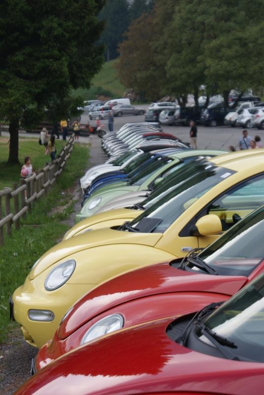 Raduno d'Estate 2013