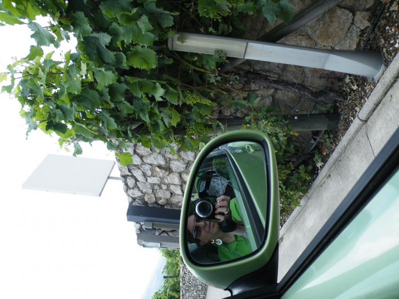 Raduno d'estate 2016