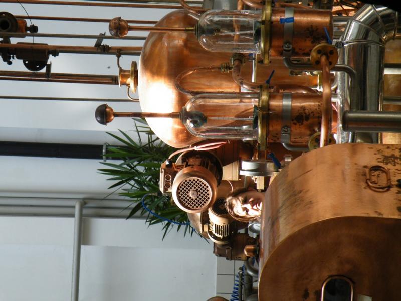 Raduno d'estate 2016