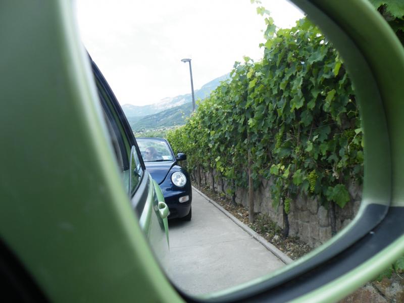 Raduno d'estate 2016