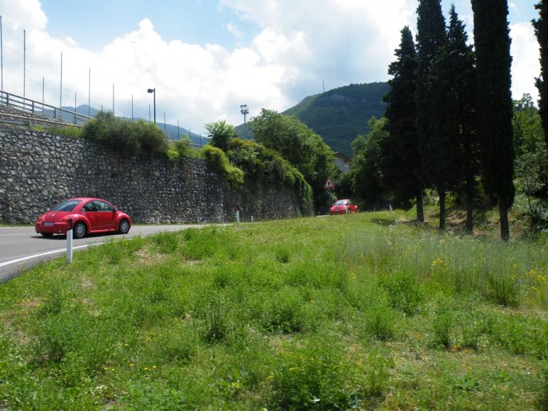 Raduno d'estate 2016