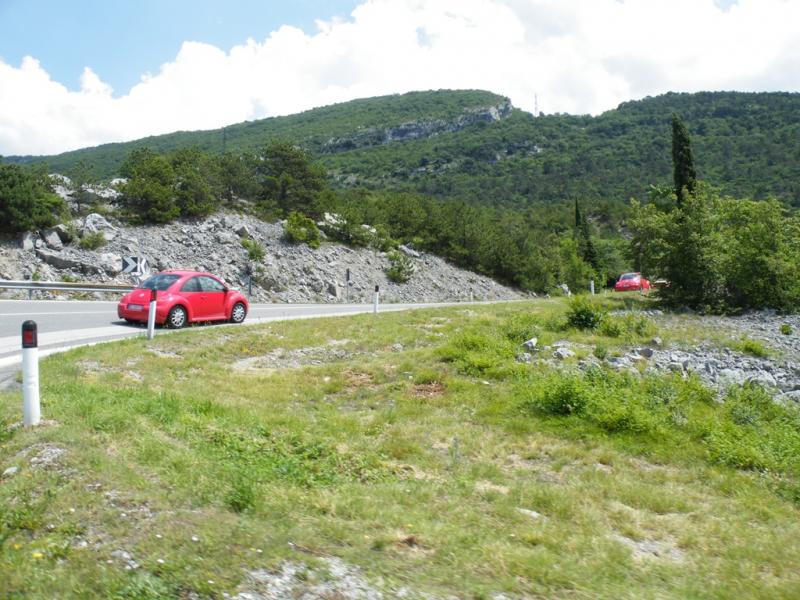 Raduno d'estate 2016