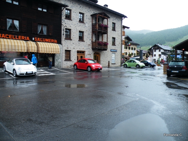 Raduno d'Estate Stelvio e Livigno
