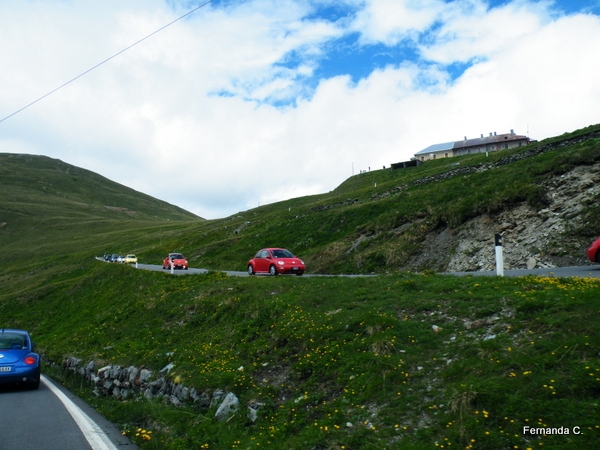 Raduno d'Estate Stelvio e Livigno