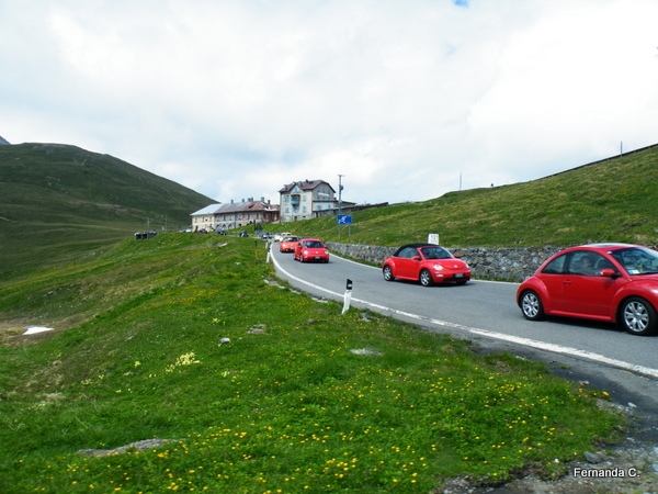 Raduno d'Estate Stelvio e Livigno
