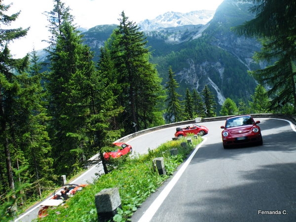 Raduno d'Estate Stelvio e Livigno