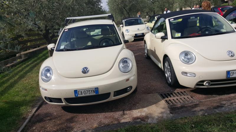 Raduno di Autunno 2015 nei Colli Euganei