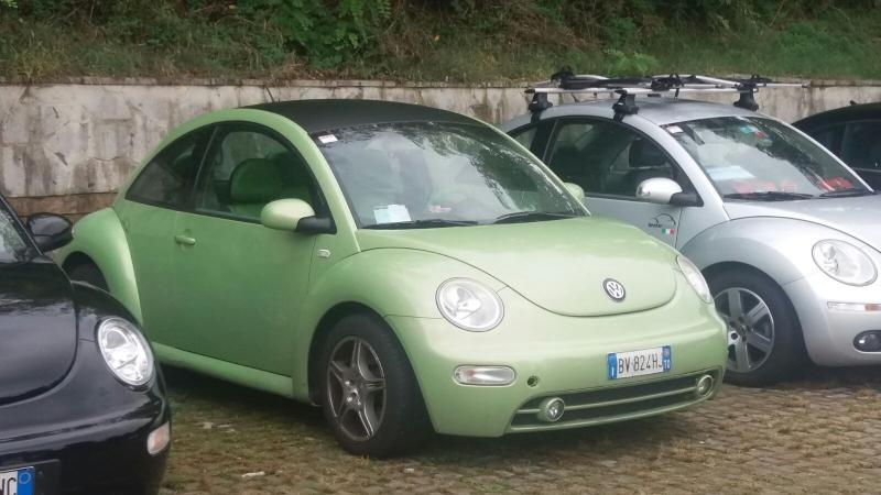 Raduno di Autunno 2015 nei Colli Euganei