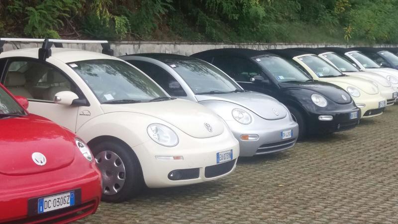 Raduno di Autunno 2015 nei Colli Euganei