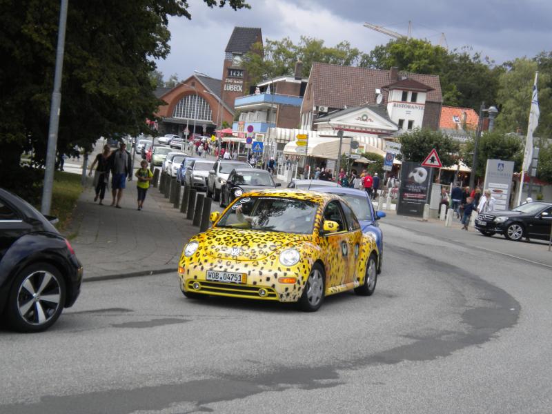 Raduno di Primavera 2012