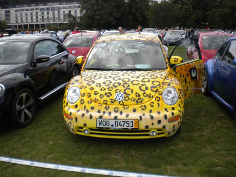 Raduno di Primavera 2012