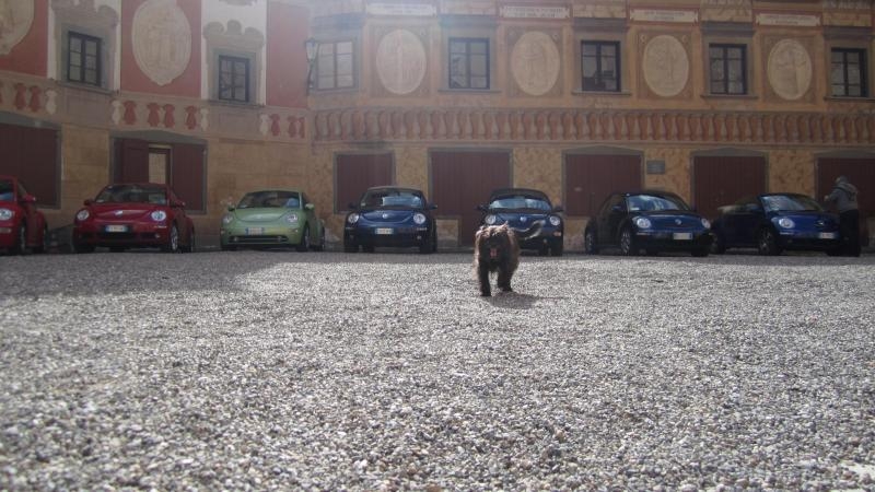 raduno di primavera 2013 primo album