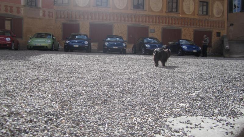 raduno di primavera 2013 primo album