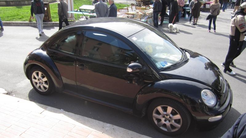 raduno di primavera 2013 secondo album