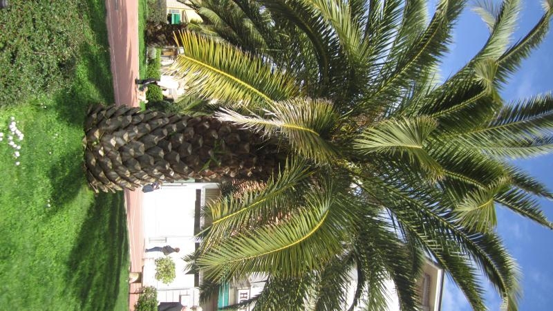 raduno di primavera 2013 secondo album