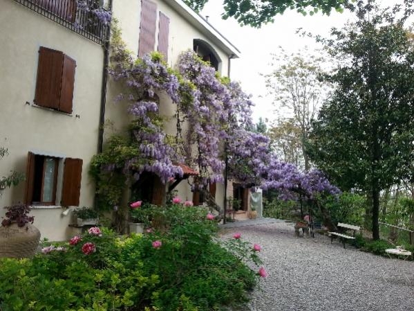 Raduno di primavera 2014 Vigoleno