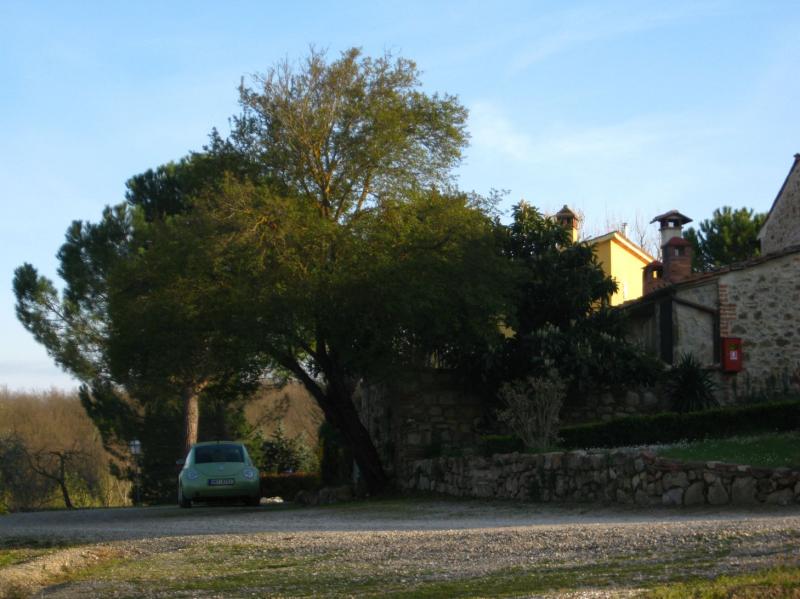 Raduno di Primavera 2015 a Lucca e Versilia