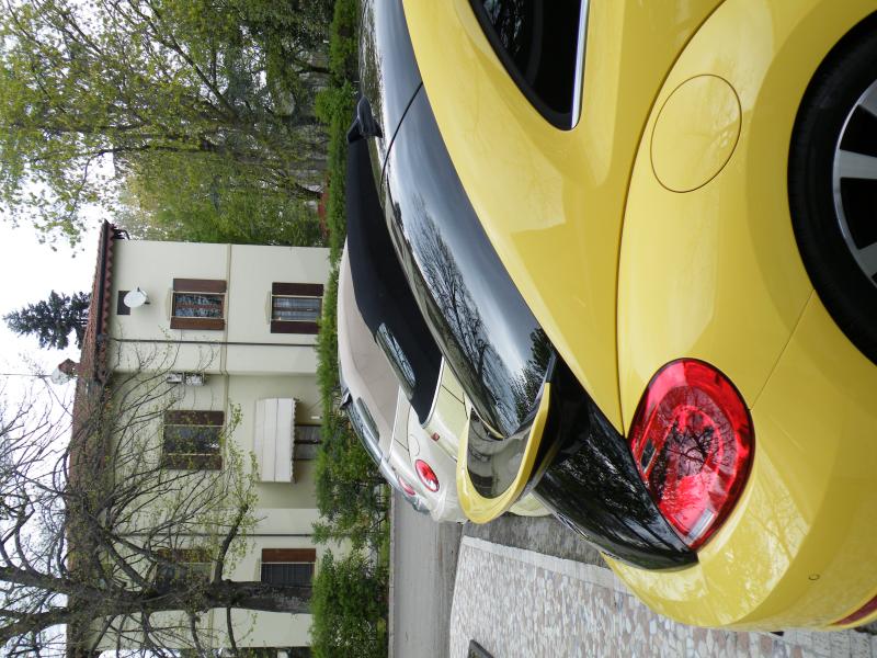 Raduno di Primavera 2016