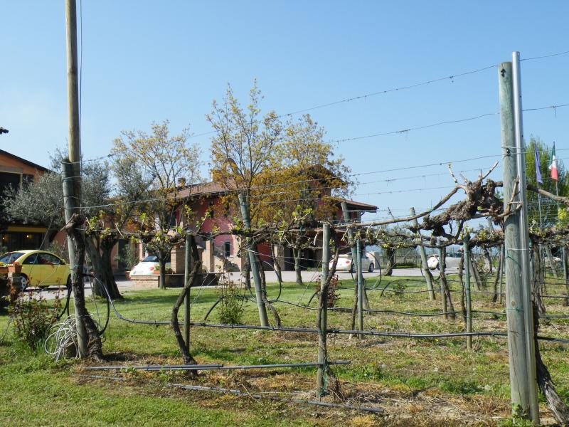 Raduno di Primavera 2016