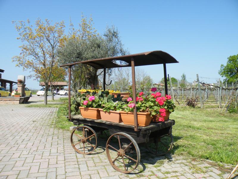 Raduno di Primavera 2016