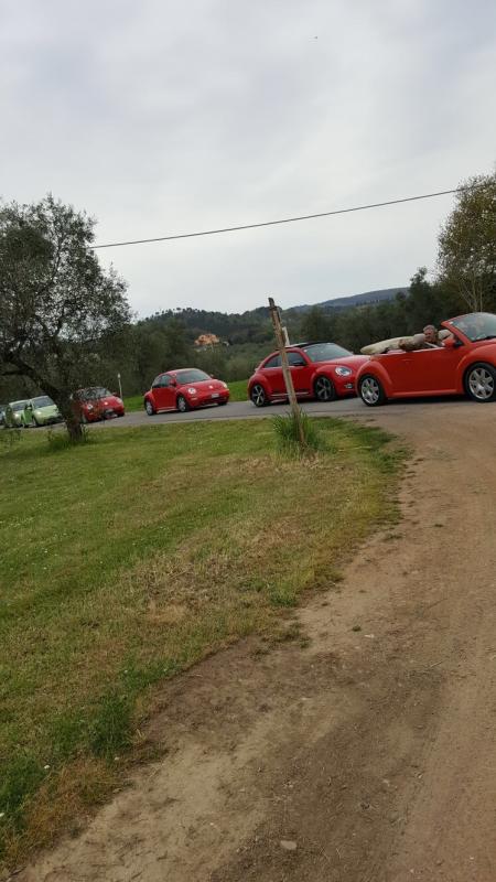 Raduno di primavera 2017