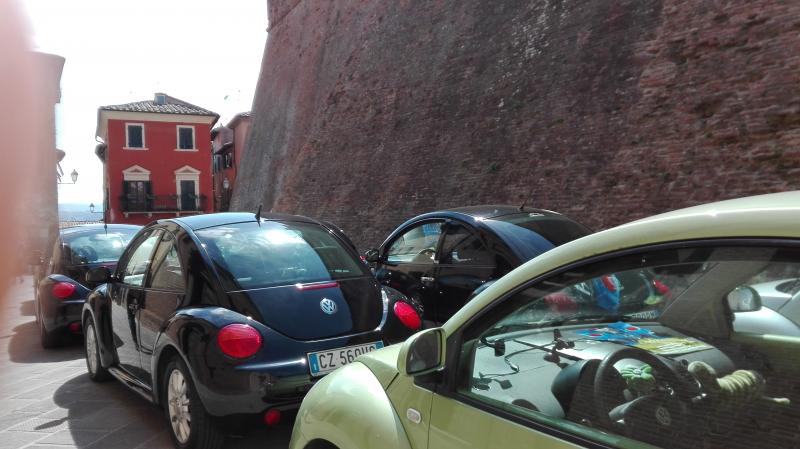 Raduno di Primavera Colline Pisane