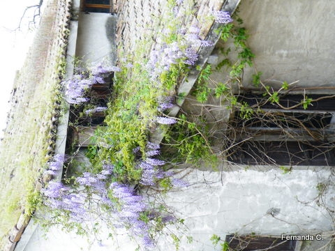 Raduno di Primavera Vigoleno