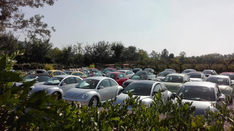 Raduno Franciacorta 2016