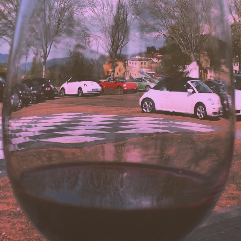 Raduno Lucca e Versilia primavera 2015