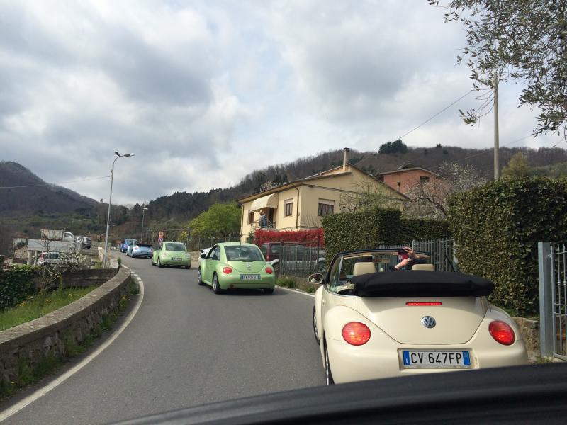 Raduno Lucca e Versilia primavera 2015