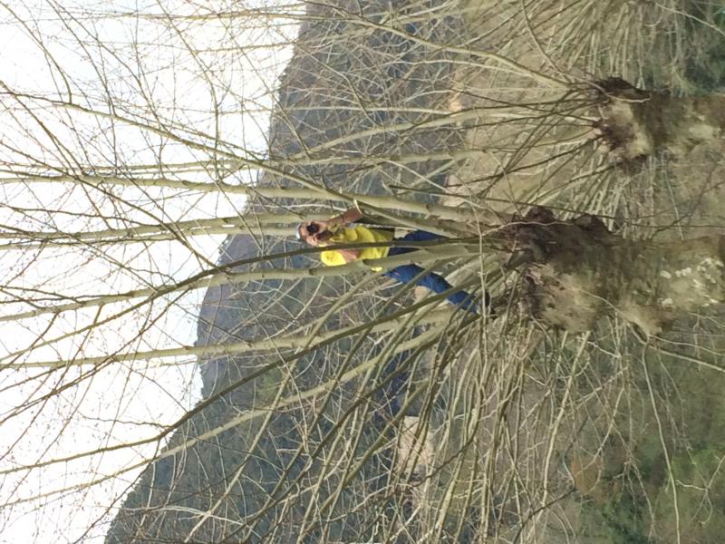 Raduno Lucca e Versilia primavera 2015