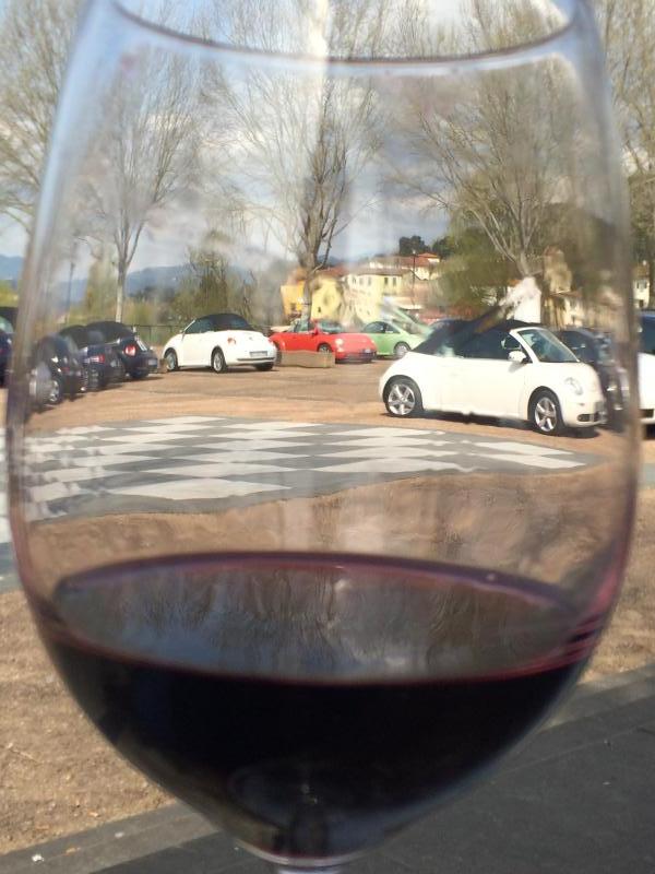 Raduno Lucca e Versilia primavera 2015