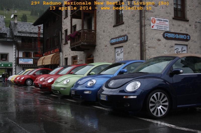Raduno negli Appennini Bolognesi 2012