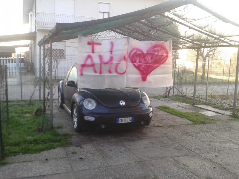 san valentino beetle