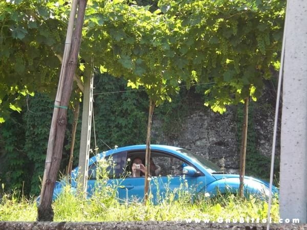 scampaGNUata 2009 - GnuConcorso Fotografico.